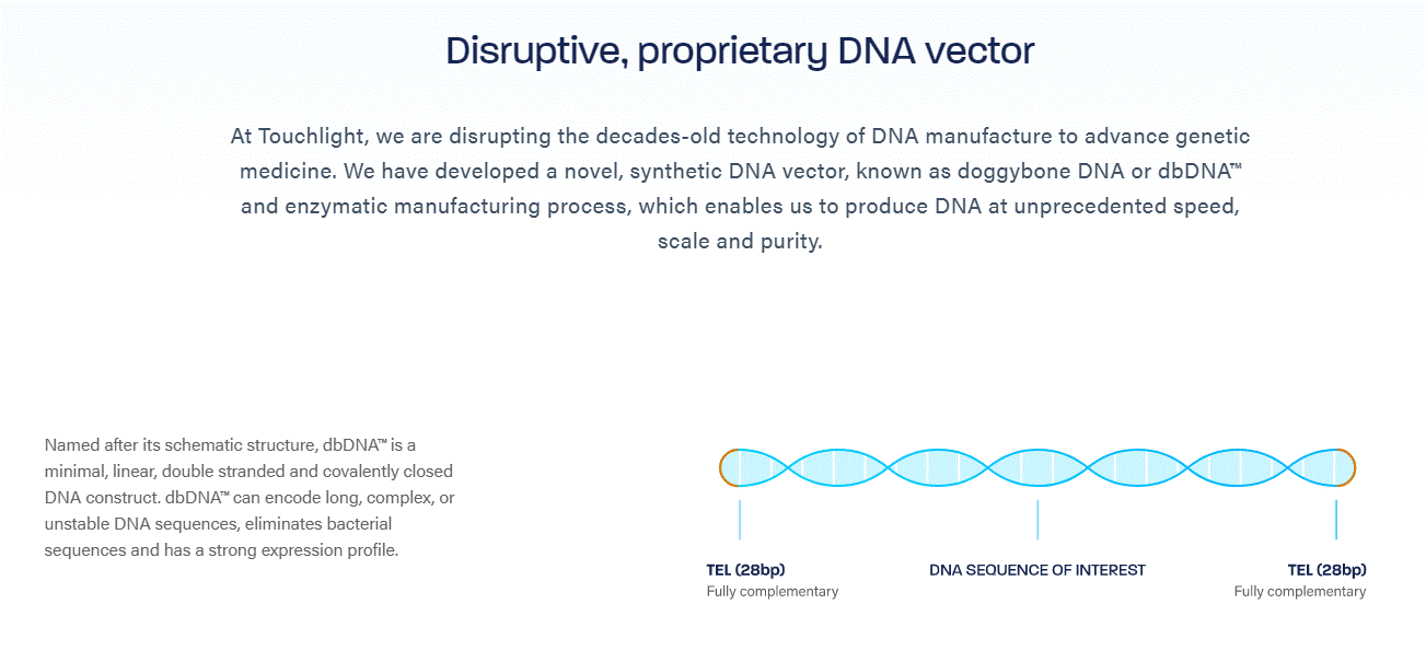 db DNA